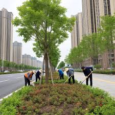 孟州市政绿化属于什么行业类型