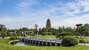 丹阳园林绿化处陈江波
